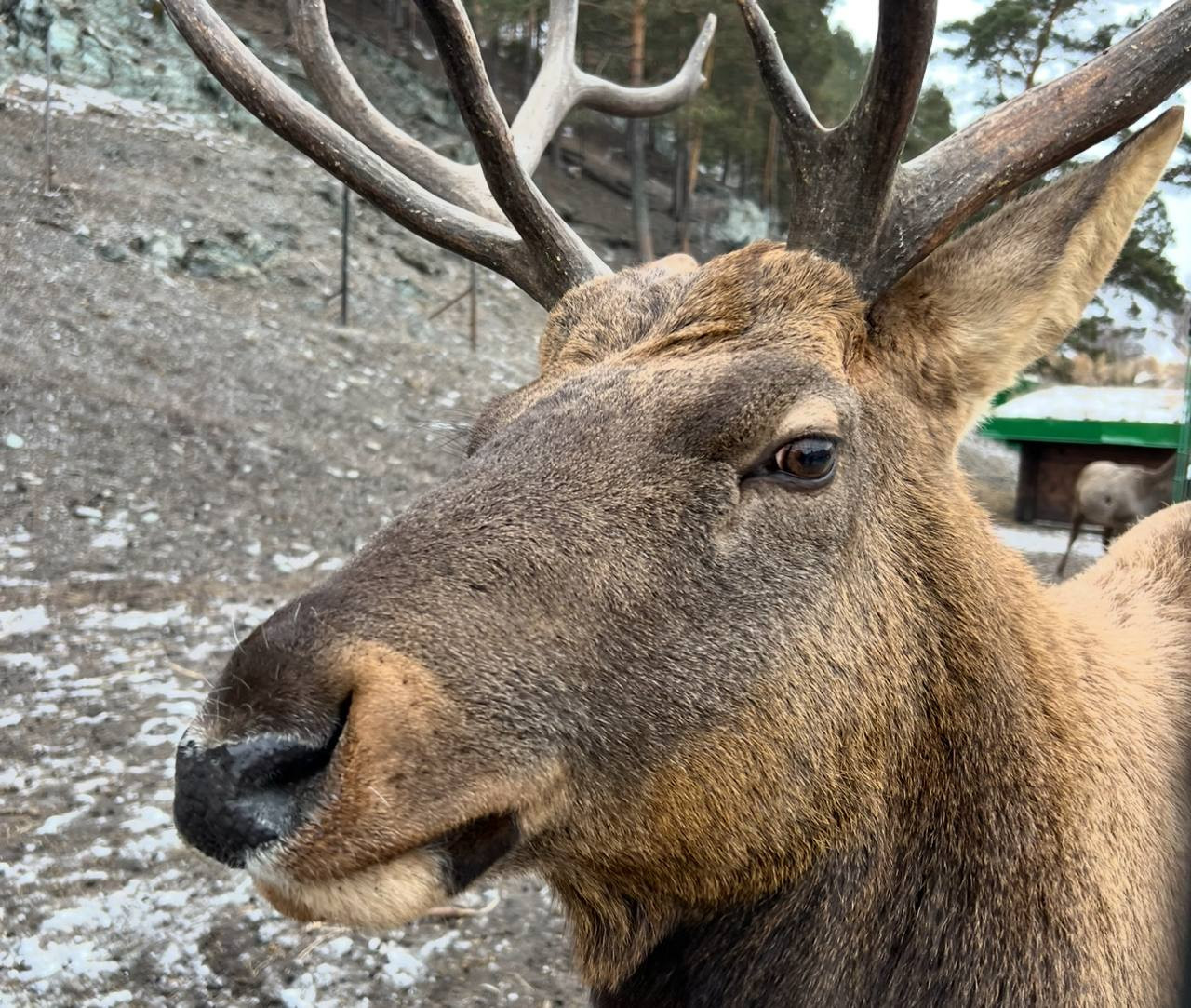 Красраб. Сибирский новостной портал