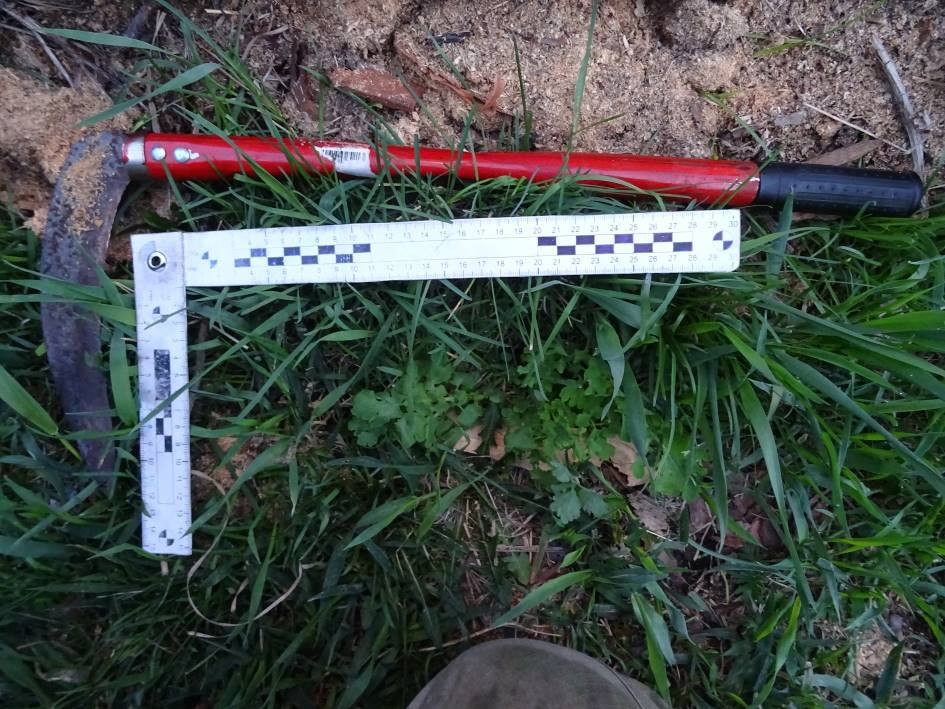 Красраб. Сибирский новостной портал