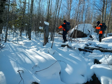 Двухдневные поиски пропавшей в тайге семьи Усольцевых вновь завершились неудачей