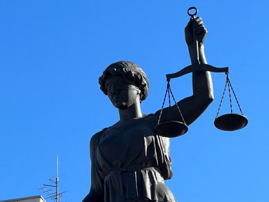 Жительница Хакасии осуждена за нападение восьми её домашних собак на 8-летнюю девочку