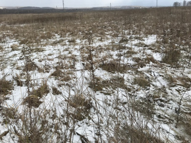 В Емельяновском округе суд изъял у владельца 12 гектаров неиспользуемых сельхозземель