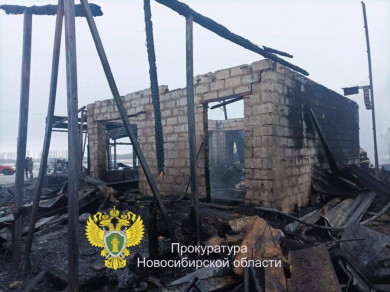 В Новосибирской области владелец кафе отправился в колонию за гибель сотрудницы во время пожара