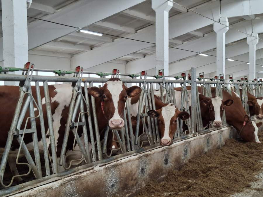 Красраб. Сибирский новостной портал