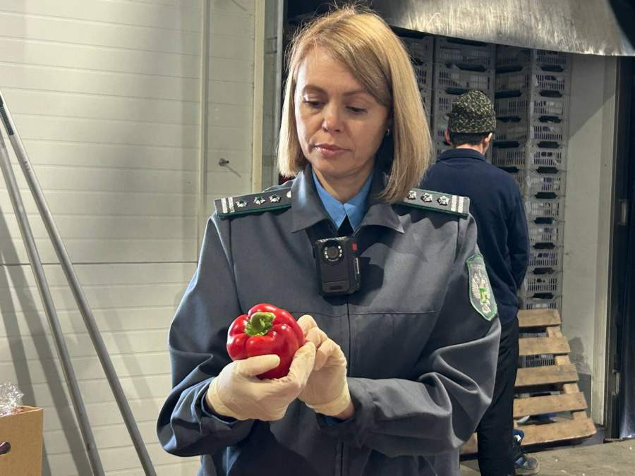 Красраб. Сибирский новостной портал