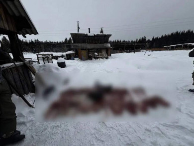 Полицейские задержали мужчину, незаконно добывшего шесть косуль