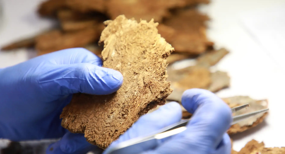 Специалисты проверили более 318 тысяч кубометров красноярской лесопродукции