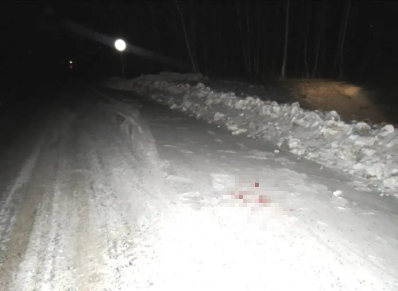 В Дзержинско-Тасеевском округе задержали мужчину, незаконно добывшего двух косуль