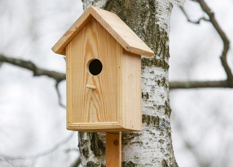 Фото с сайта объединённой дирекции заповедника «Саяно-Шушенский» и нацпарка «Шушенский бор»