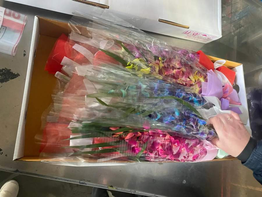 Красраб. Сибирский новостной портал