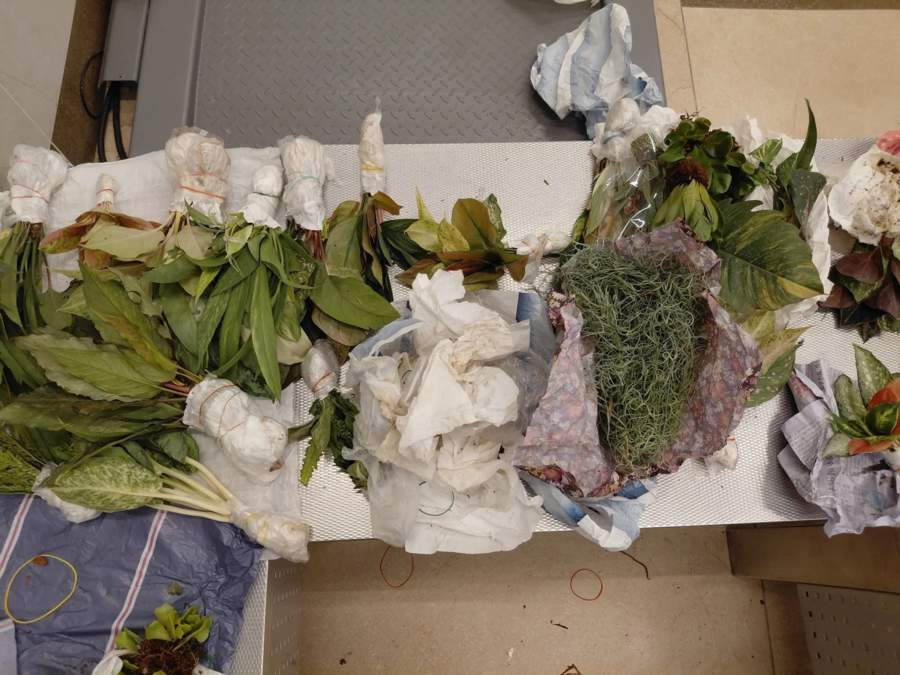 Красраб. Сибирский новостной портал