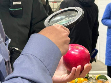 С начала года в край ввезли более 10 тысяч тонн фруктов и почти 7 тысяч тонн овощей 