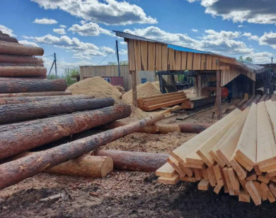 Недалеко от Ирбейского очистили территорию лесоперерабатывающего предприятия