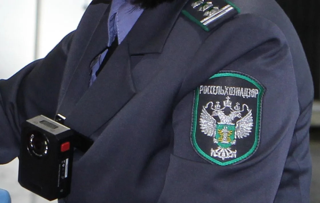 Красраб. Сибирский новостной портал