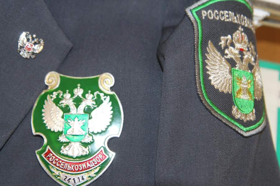 Красраб. Сибирский новостной портал