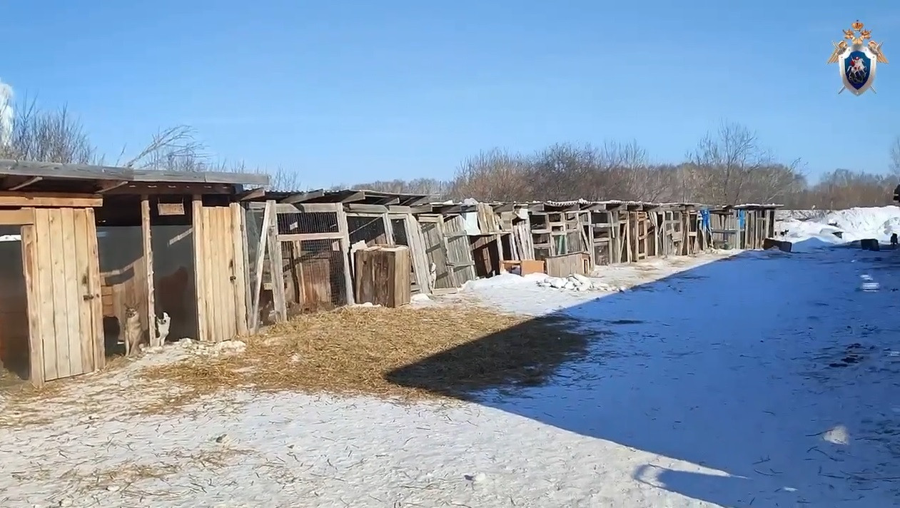 Красраб. Сибирский новостной портал