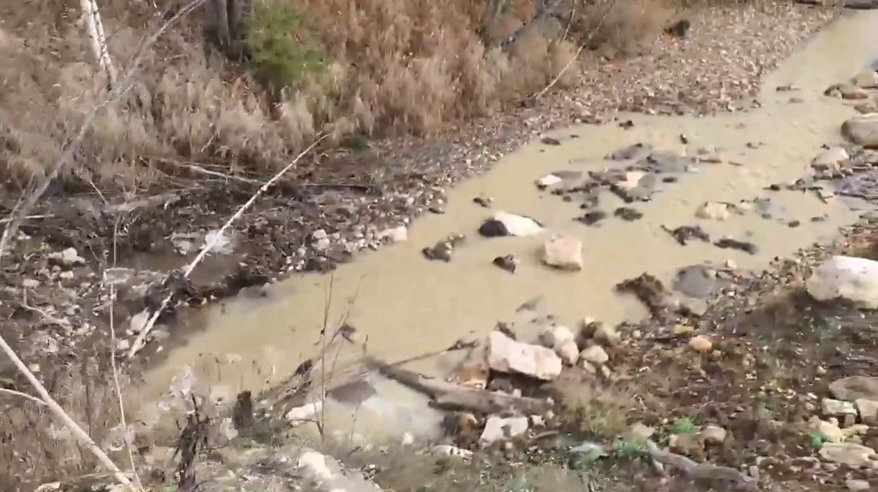 Красраб. Сибирский новостной портал