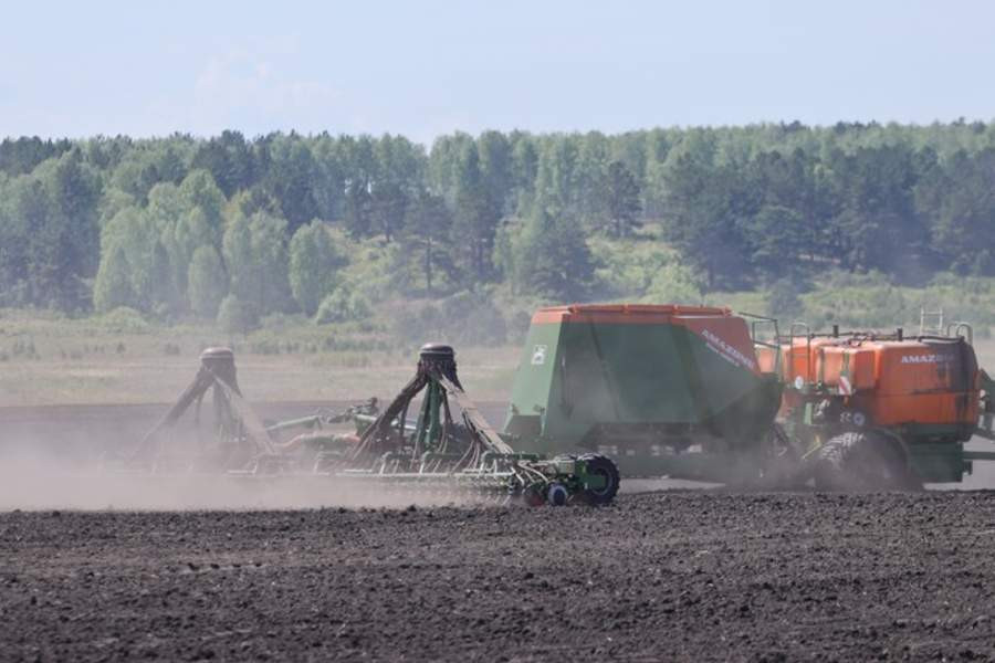 Красраб. Сибирский новостной портал