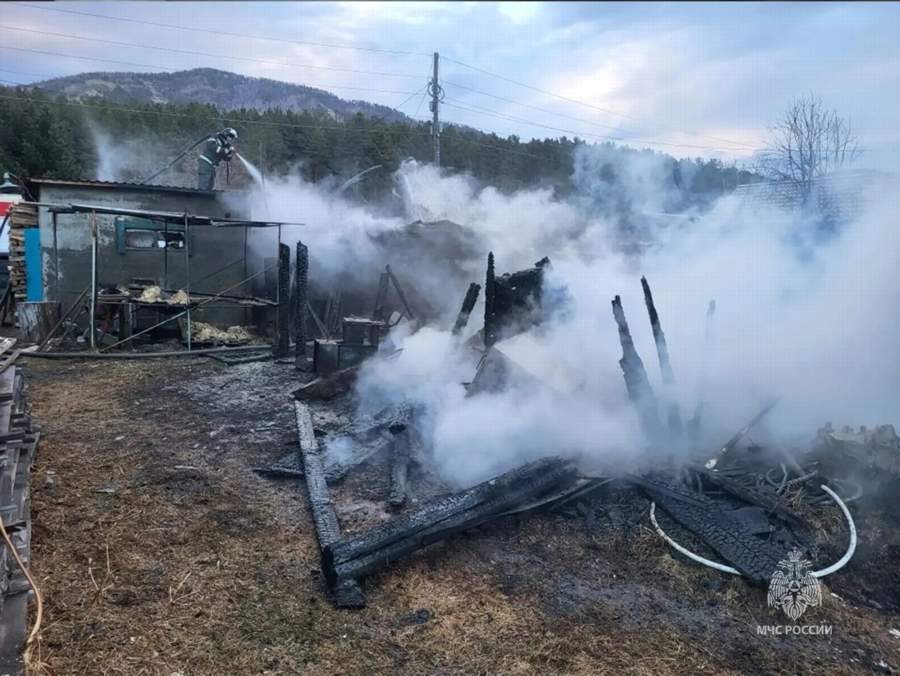 Красраб. Сибирский новостной портал