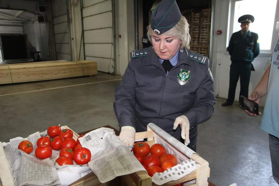 Красраб. Сибирский новостной портал