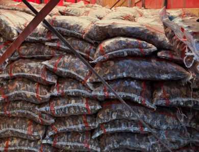 В Красноярский край завезли 22,5 тонны сухофруктов из Таджикистана