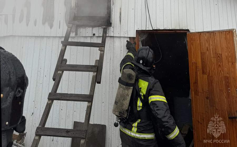 Красраб. Сибирский новостной портал