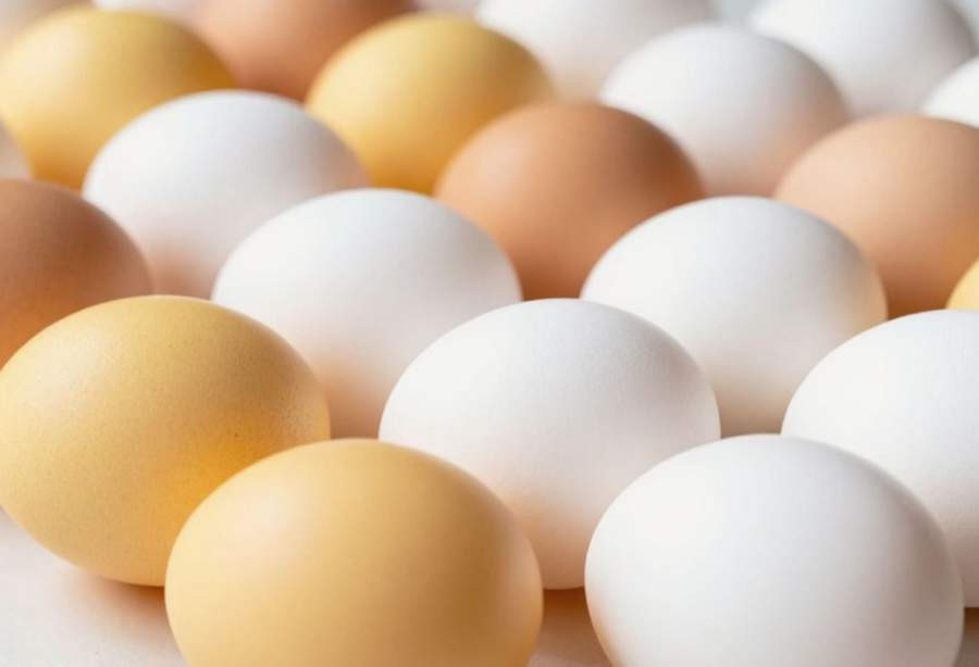 Красраб. Сибирский новостной портал