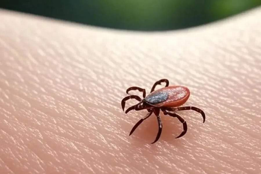 Красраб. Сибирский новостной портал