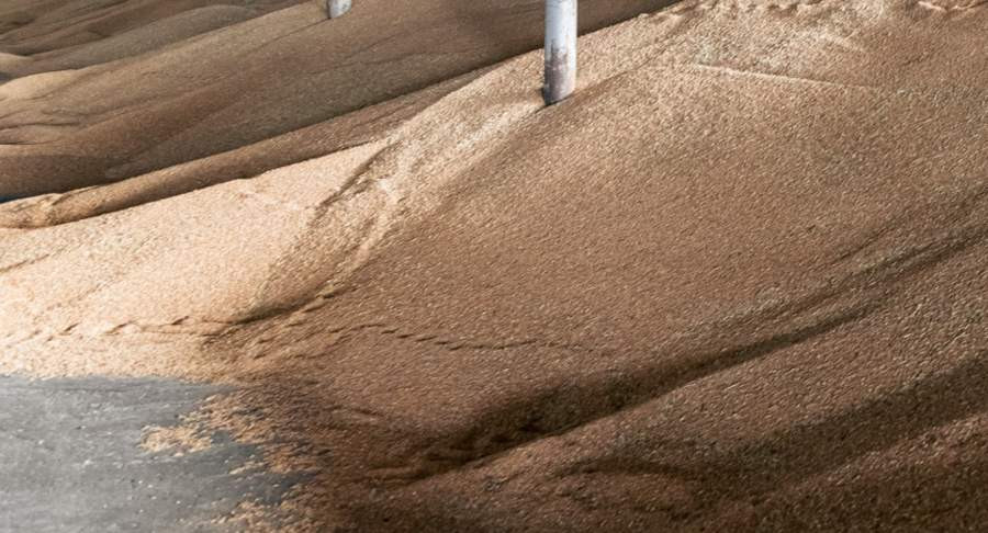 Красраб. Сибирский новостной портал