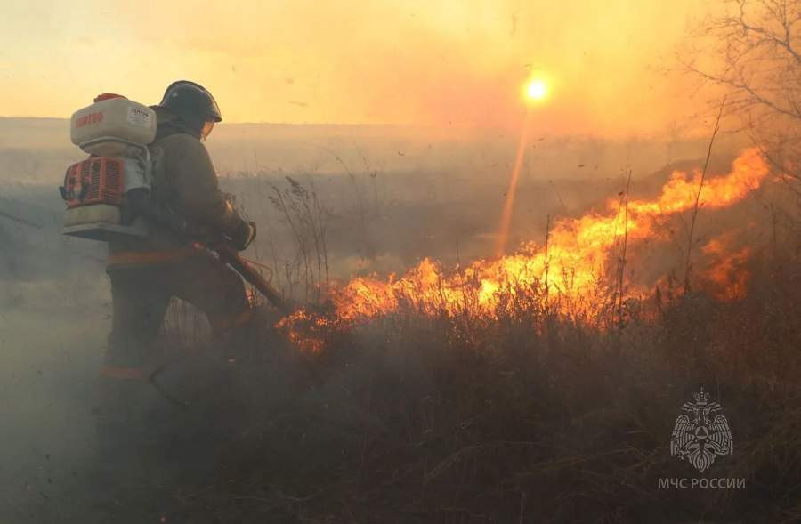 Красраб. Сибирский новостной портал