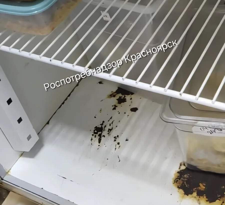 Красраб. Сибирский новостной портал