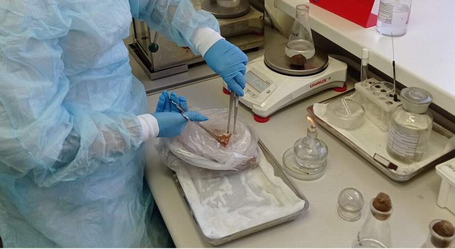 Красраб. Сибирский новостной портал