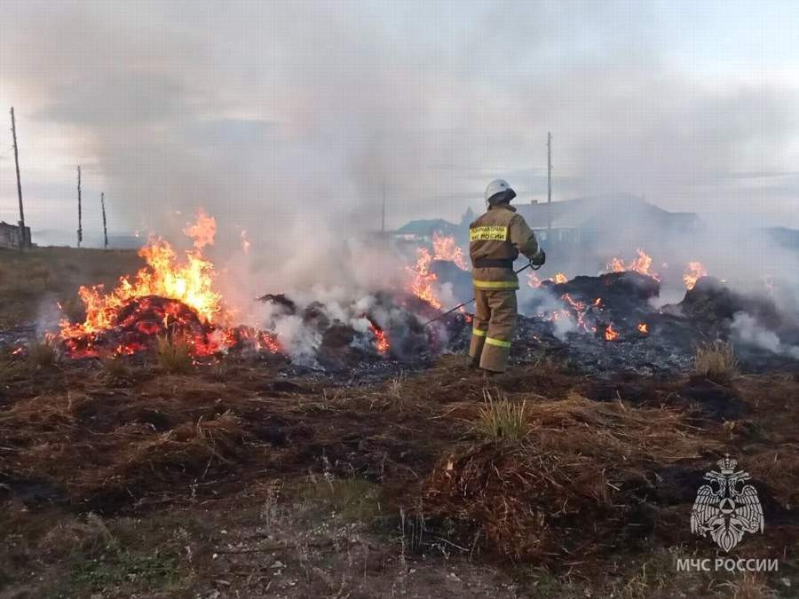 Красраб. Сибирский новостной портал