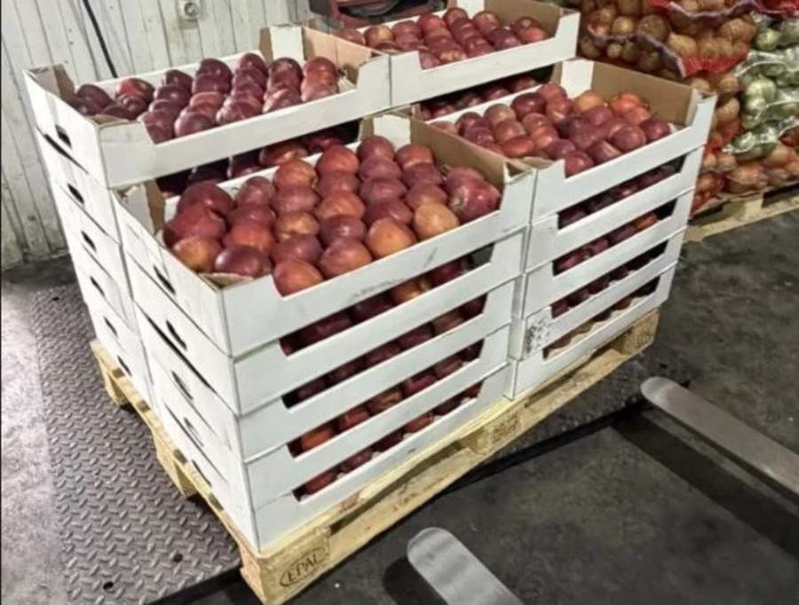 Красраб. Сибирский новостной портал