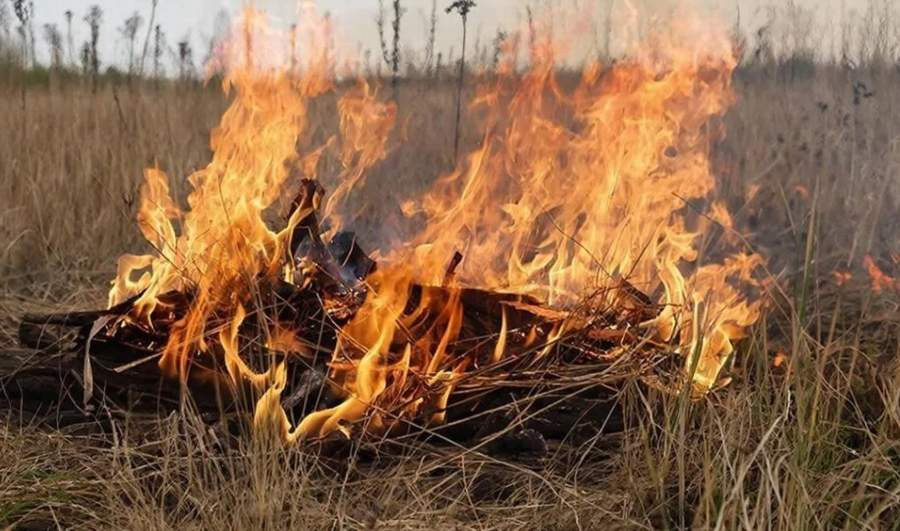 Красраб. Сибирский новостной портал