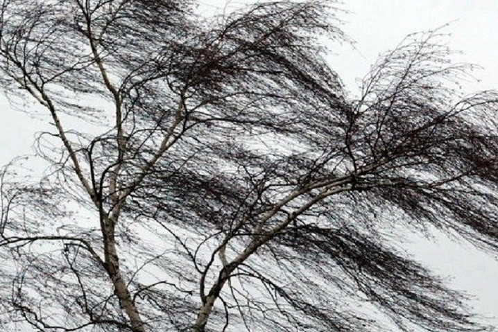 Красраб. Сибирский новостной портал