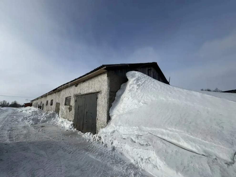 Красраб. Сибирский новостной портал