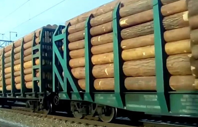 Красраб. Сибирский новостной портал