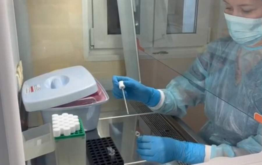 Красраб. Сибирский новостной портал