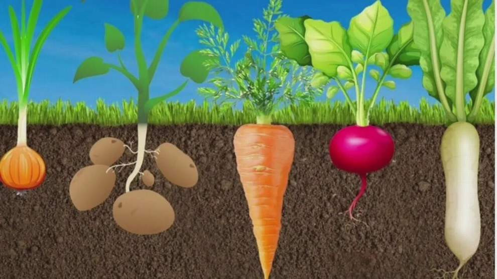 Красраб. Сибирский новостной портал