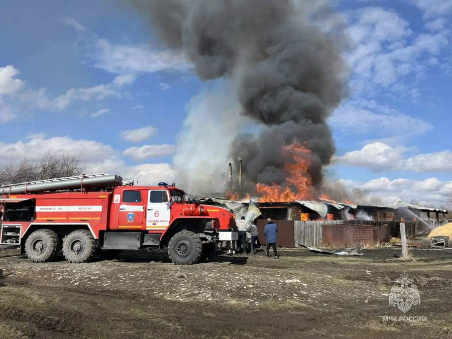 Красраб. Сибирский новостной портал