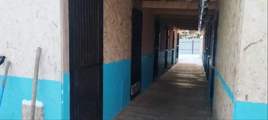 Красраб. Сибирский новостной портал