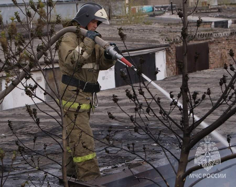 Красраб. Сибирский новостной портал