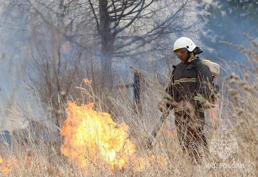 Красраб. Сибирский новостной портал