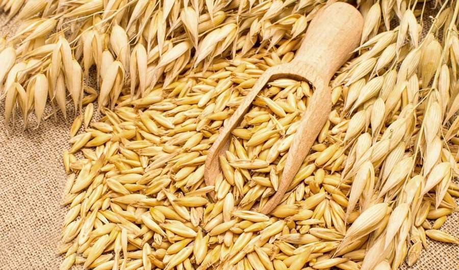 Красраб. Сибирский новостной портал