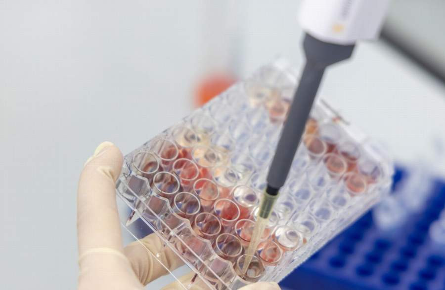 Красраб. Сибирский новостной портал