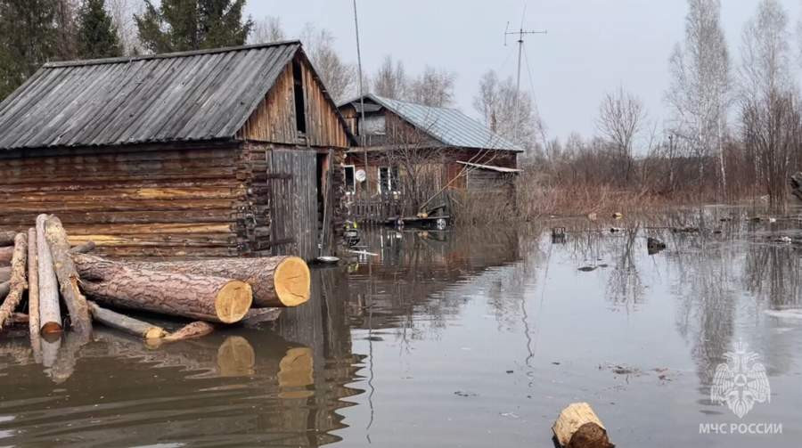Красраб. Сибирский новостной портал
