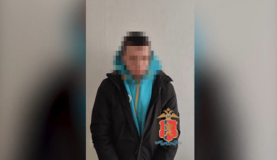 Новосибирский курьер похитил пять миллионов рублей у красноярской пенсионерки