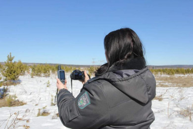 По решению суда у предпринимателя изъяты почти 11 гектаров сельскохозяйственных земель