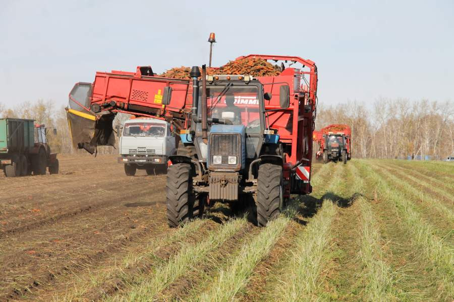 Красраб. Сибирский новостной портал