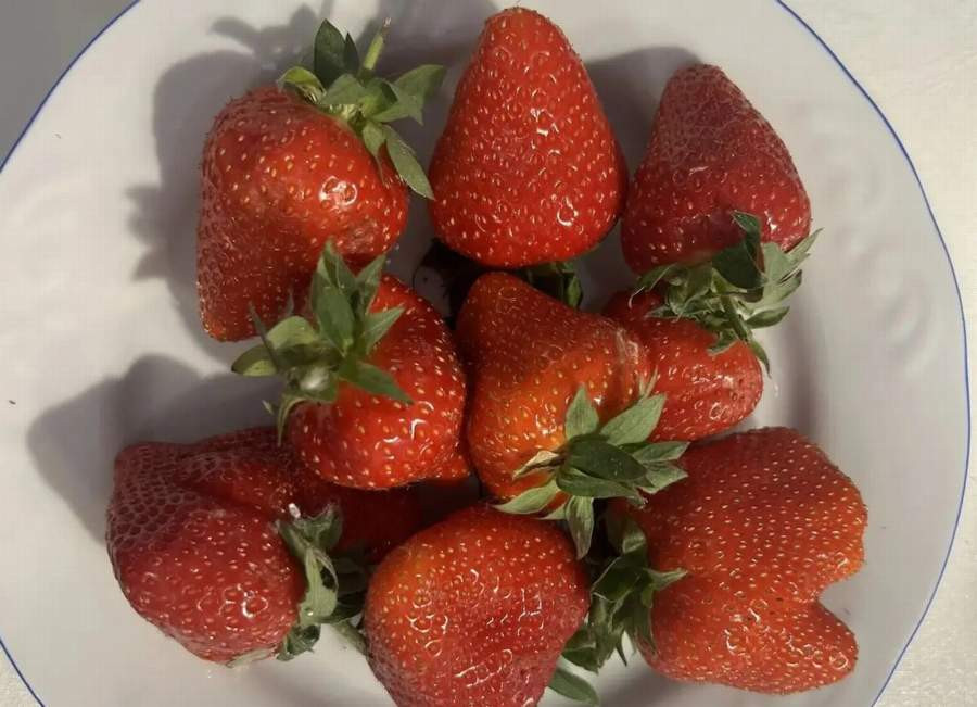 Красраб. Сибирский новостной портал